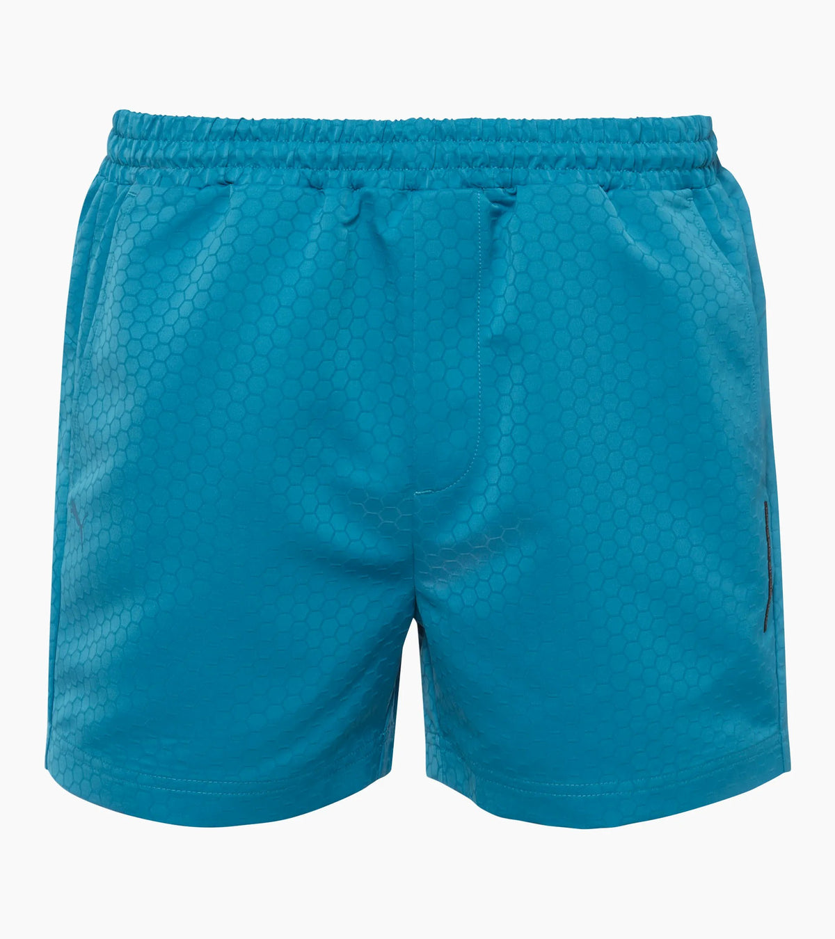 Porsche Design Swim Trunks