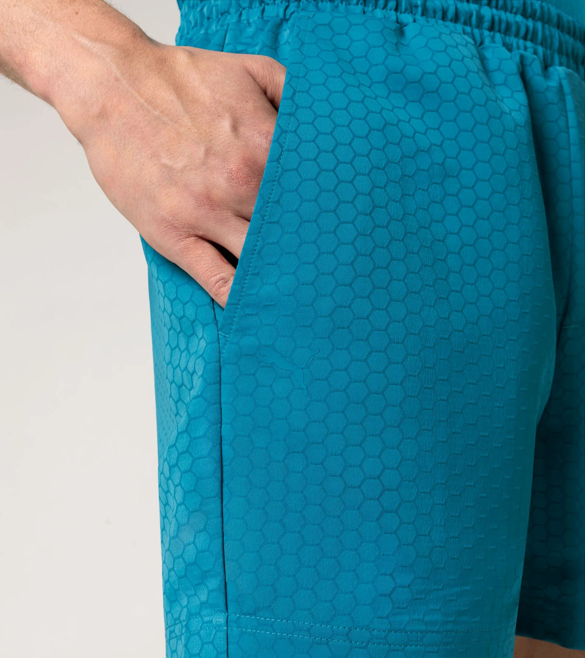 Porsche Design Swim Trunks