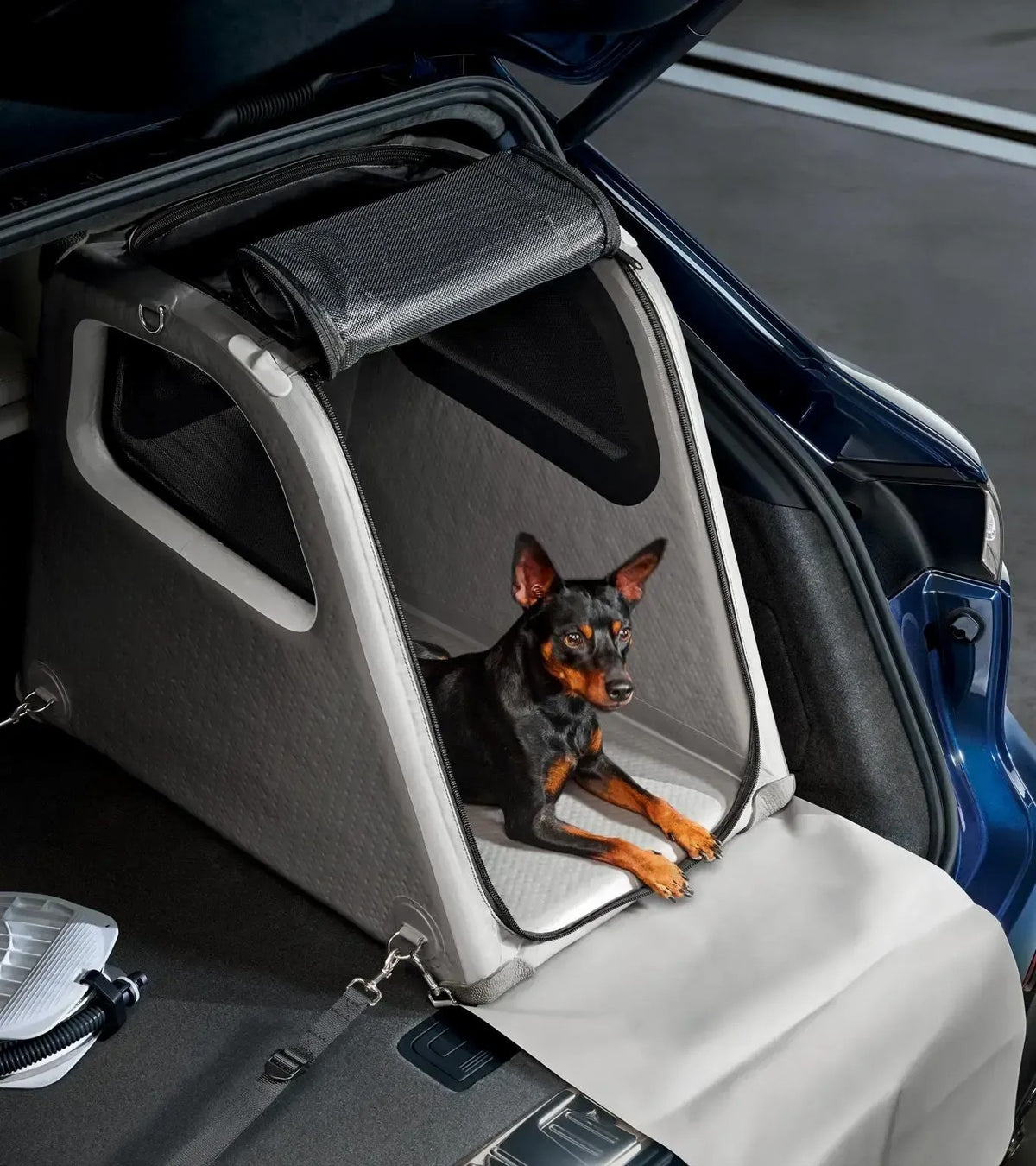 Porsche Design Porsche Luggage Compartment Box for dogs