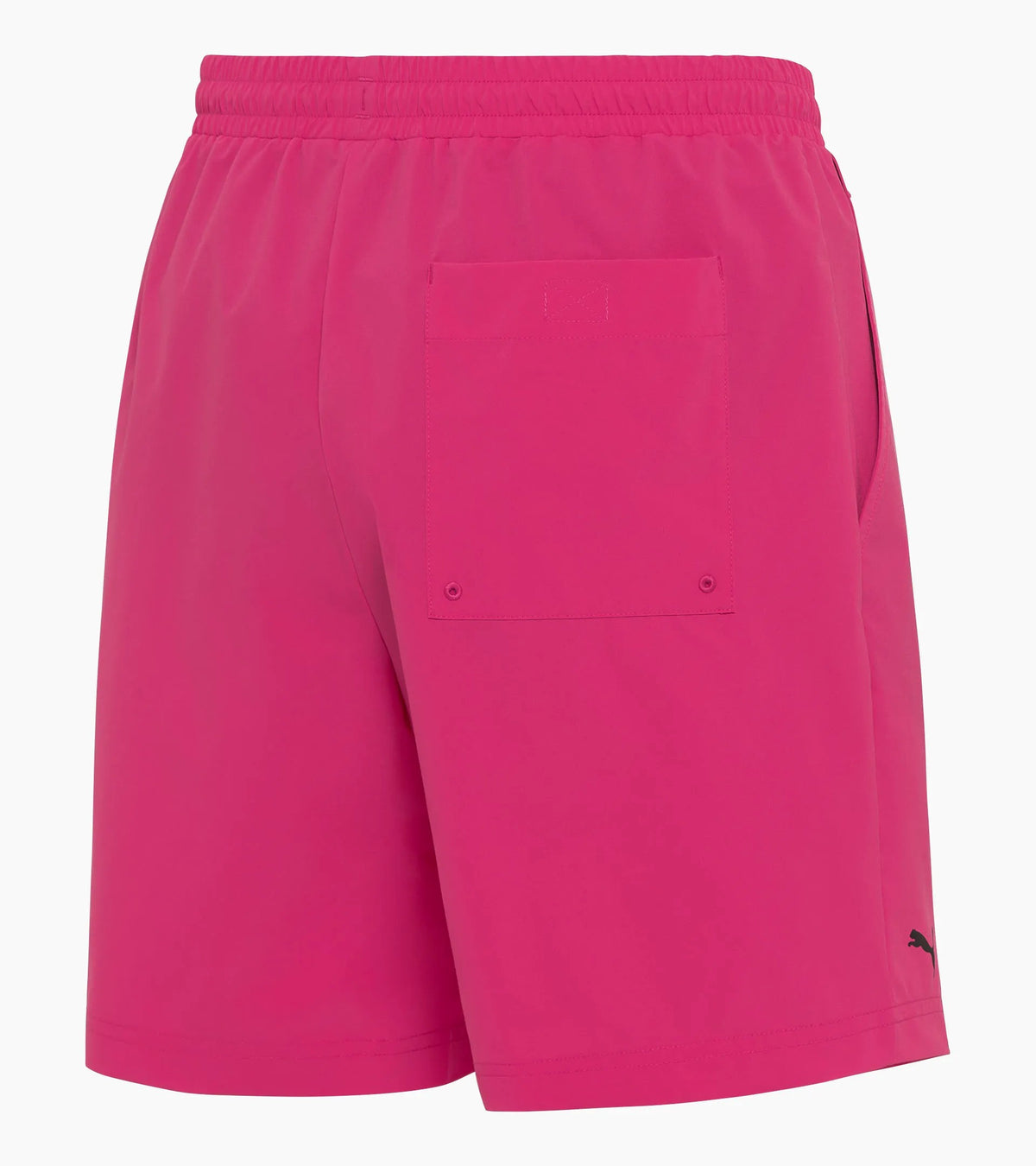 Porsche Design Swimming shorts