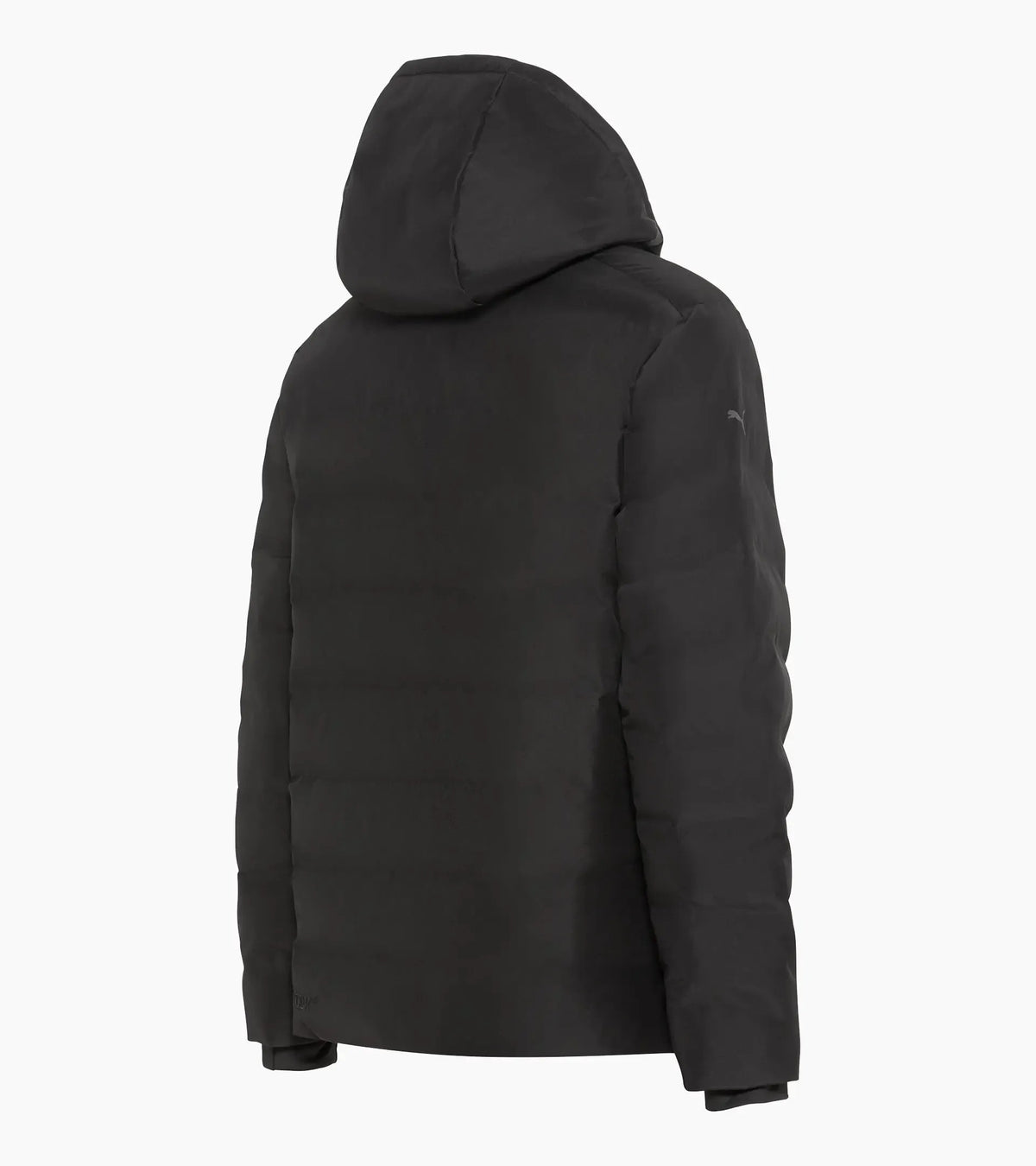 Porsche Design Padded parka