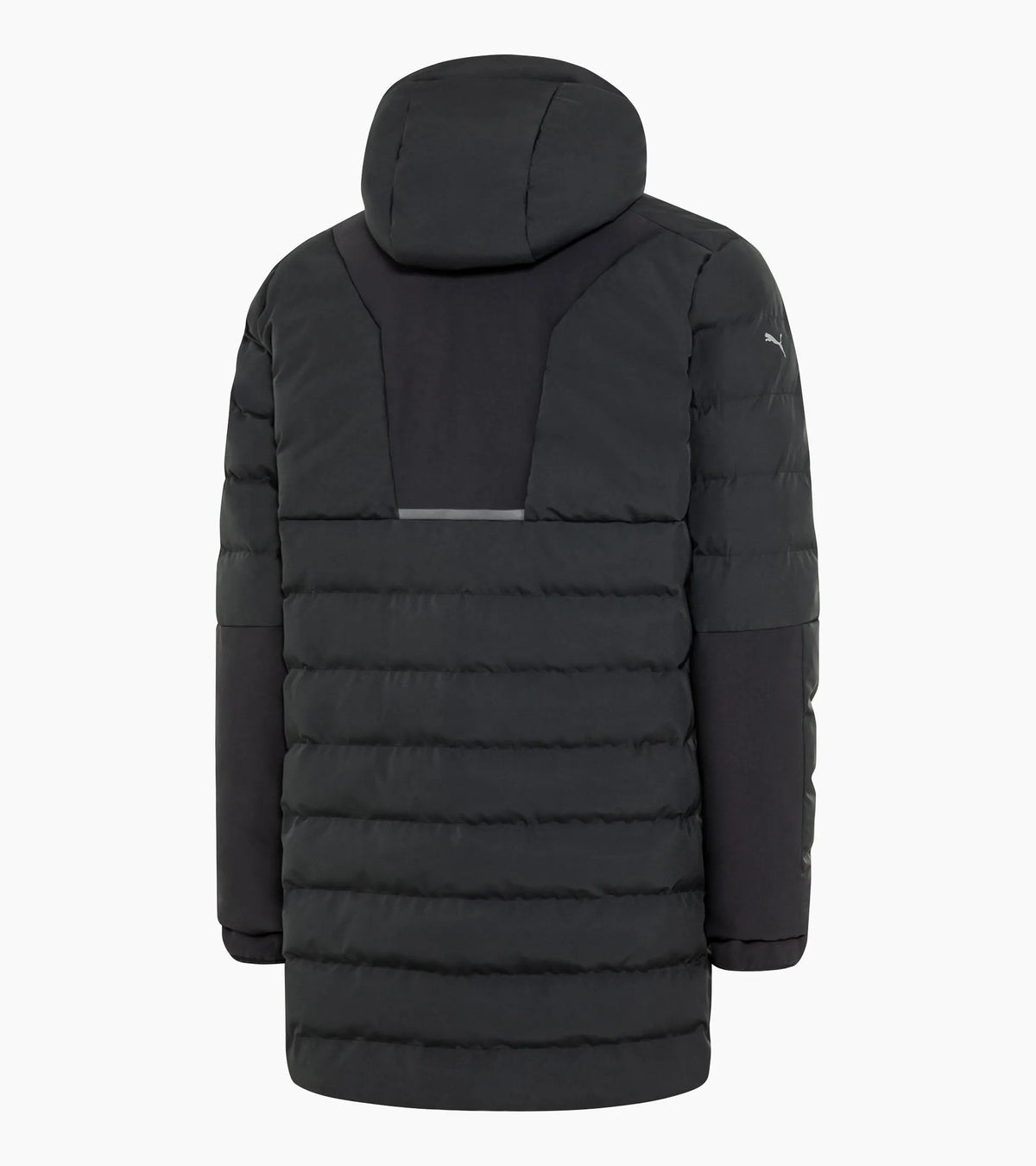 Porsche Design Padded Parka
